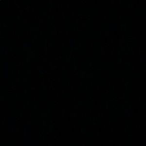 Meet your Posher, Tia